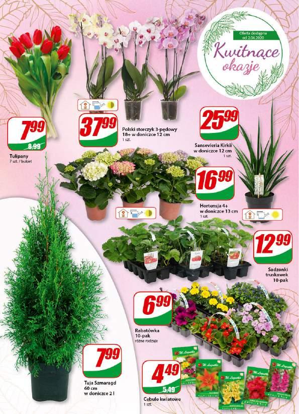 Gazetka promocyjna DINO str. 18