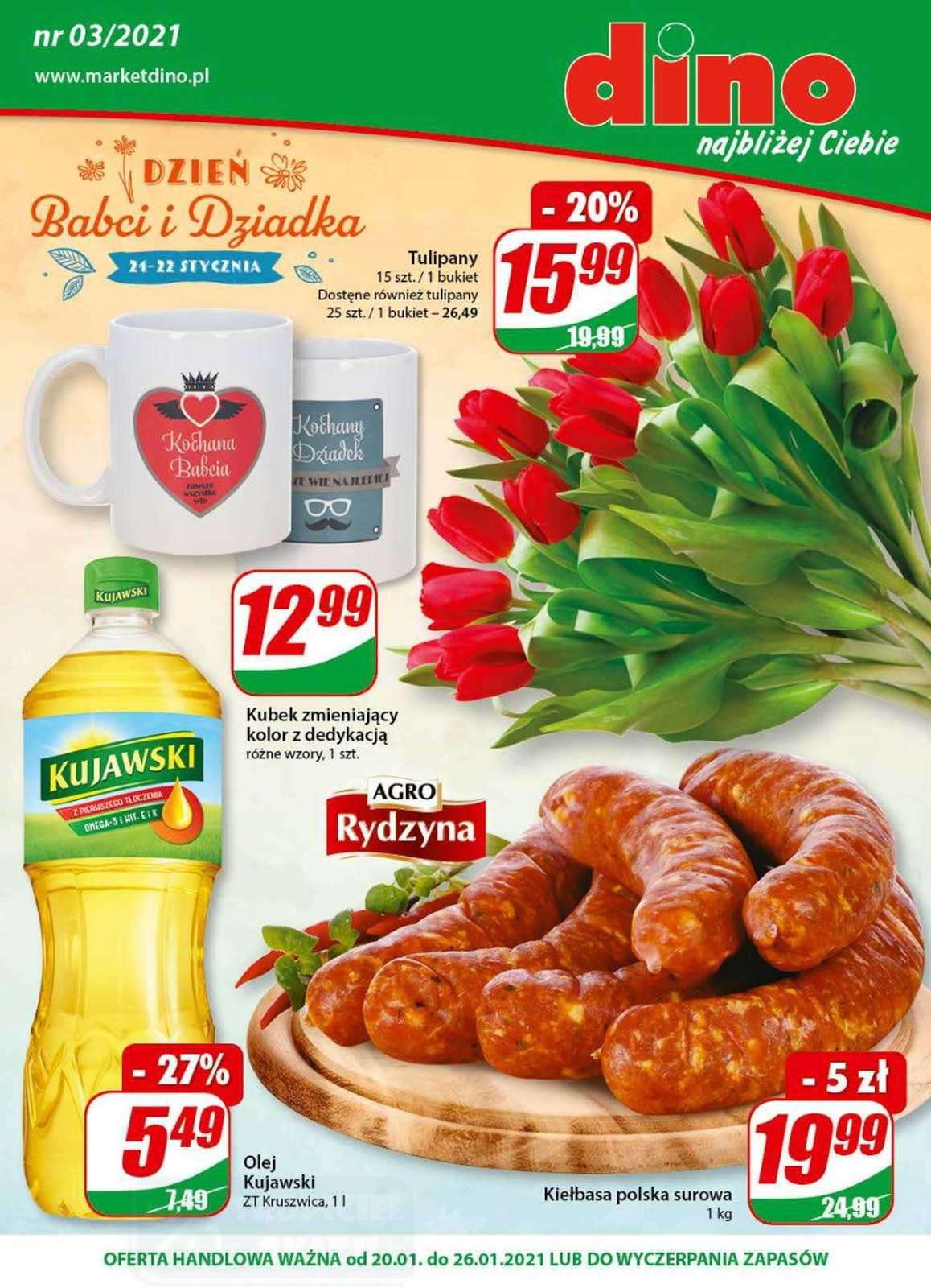 Gazetka promocyjna DINO str. 1