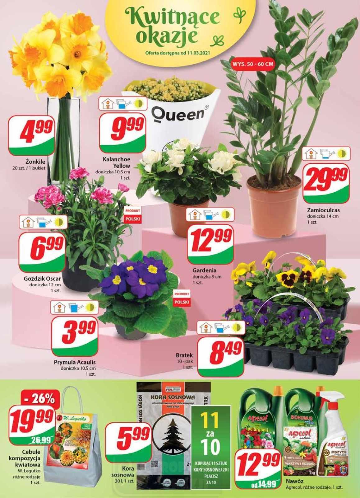 Gazetka promocyjna DINO str. 16