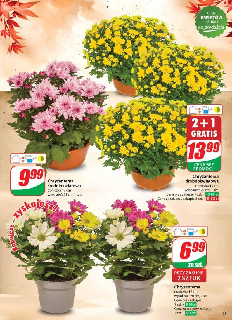 Gazetka promocyjna DINO str. 55