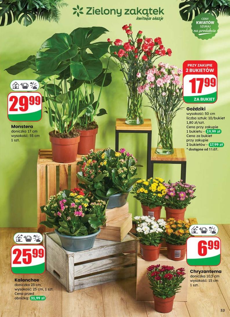 Gazetka promocyjna DINO str. 53