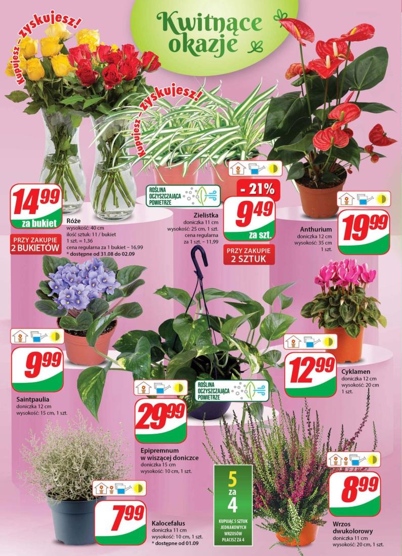 Gazetka promocyjna DINO str. 18