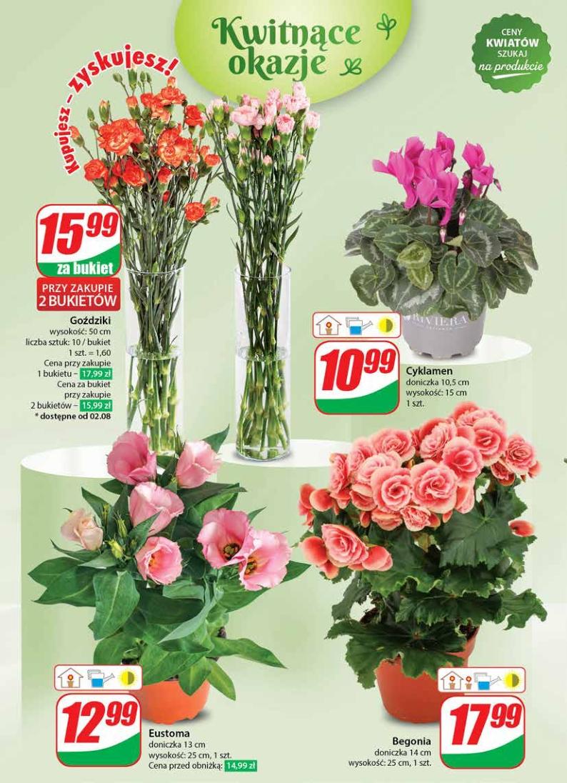 Gazetka promocyjna DINO str. 48