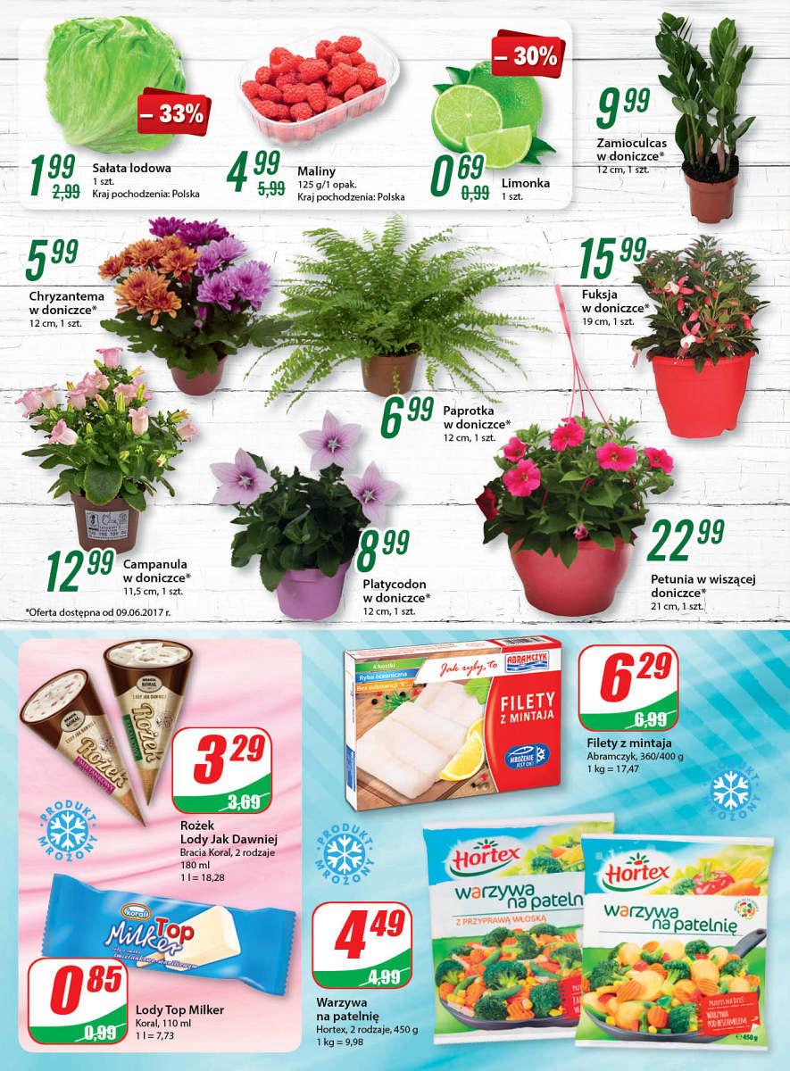 Gazetka promocyjna DINO str. 4