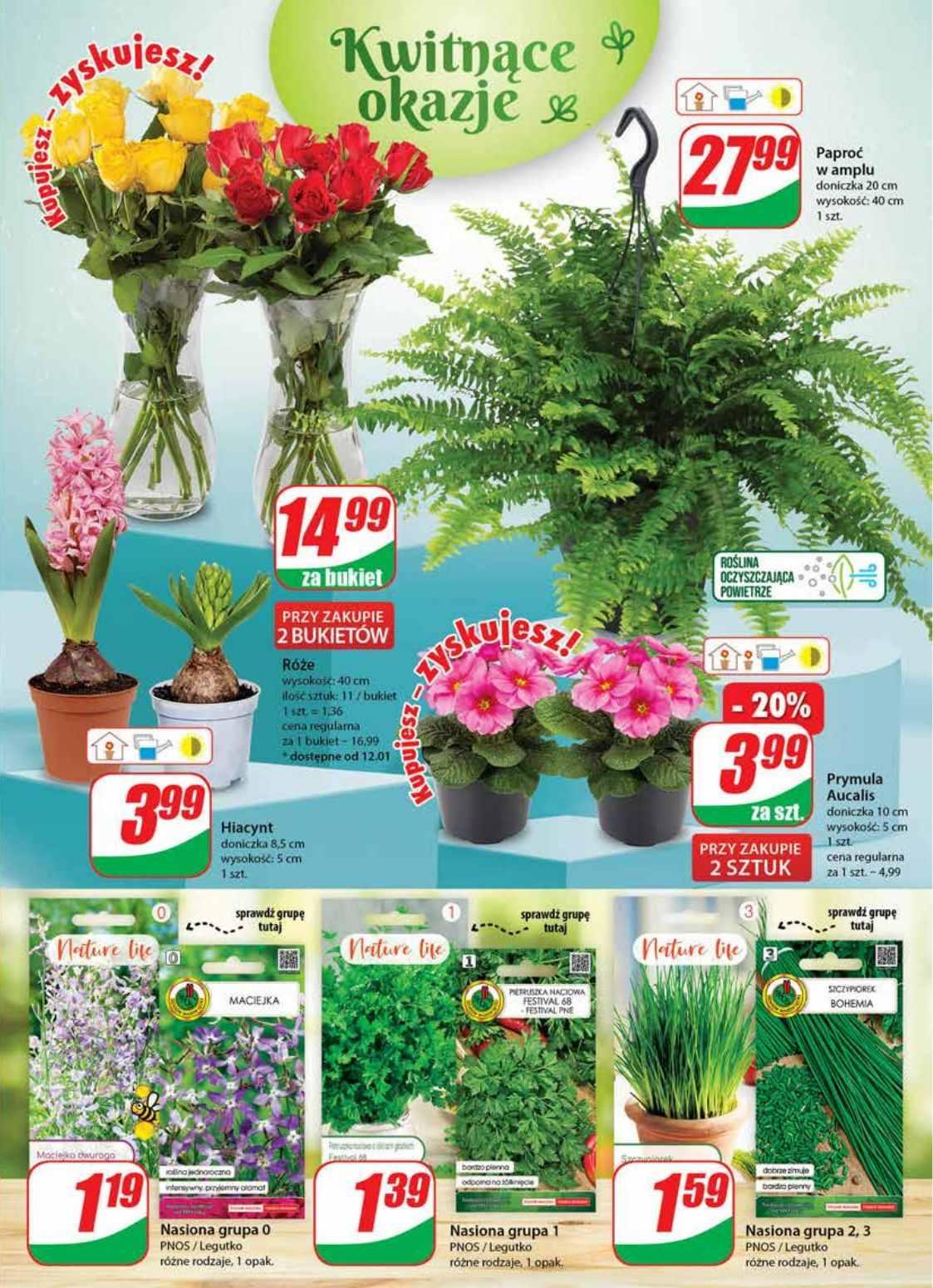 Gazetka promocyjna DINO str. 19