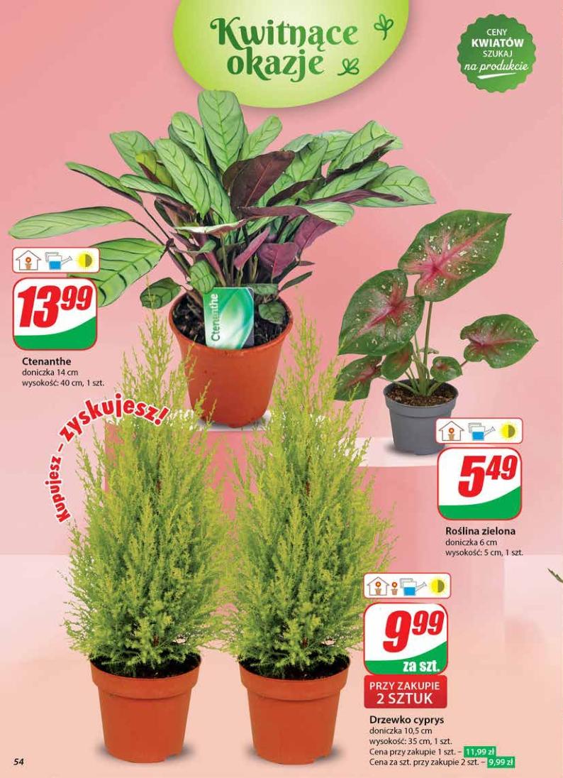 Gazetka promocyjna DINO str. 54