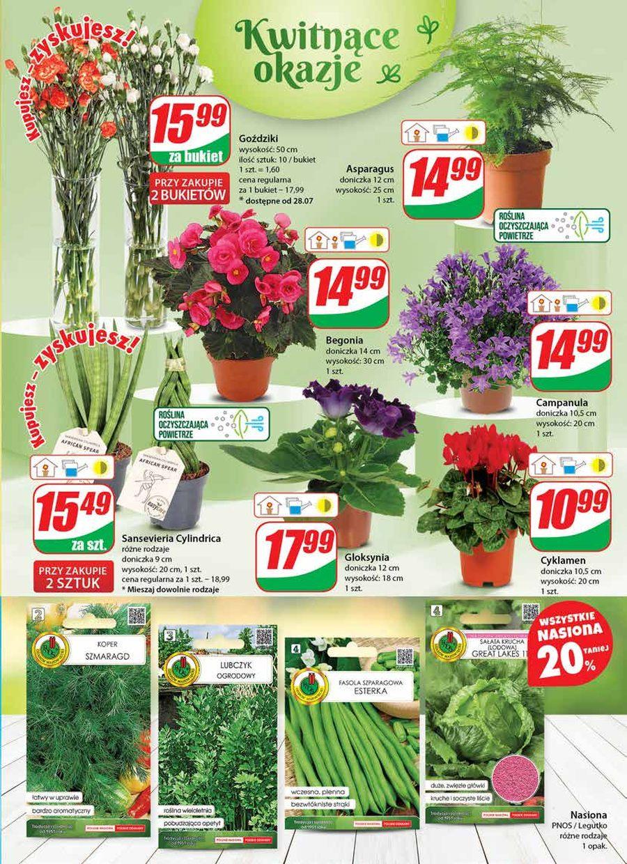 Gazetka promocyjna DINO str. 19