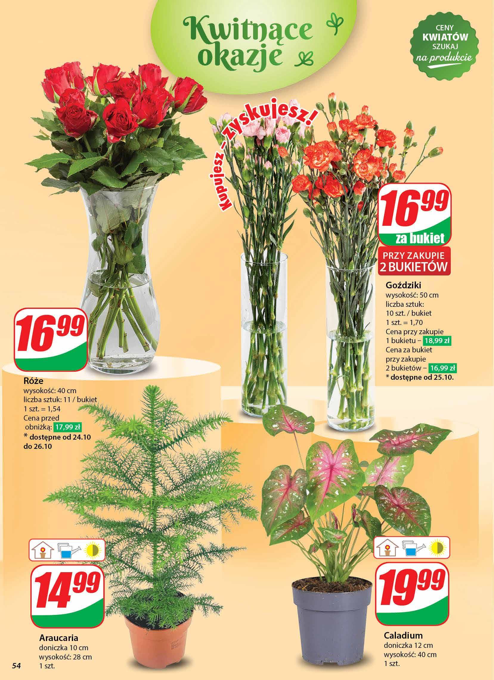 Gazetka promocyjna DINO str. 54