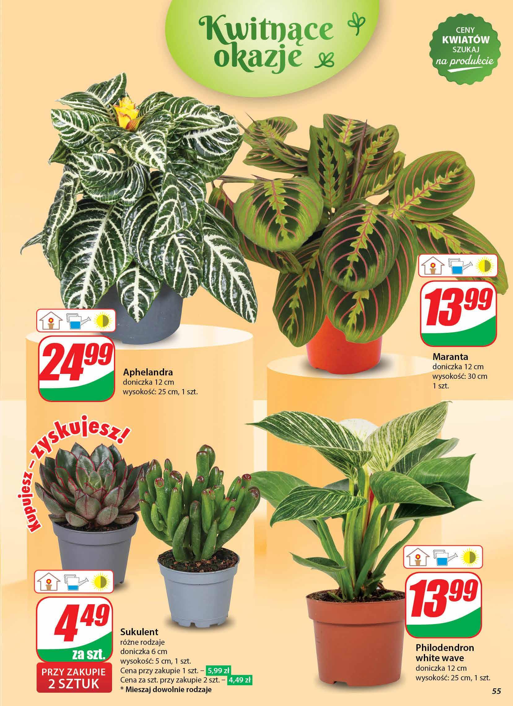 Gazetka promocyjna DINO str. 55