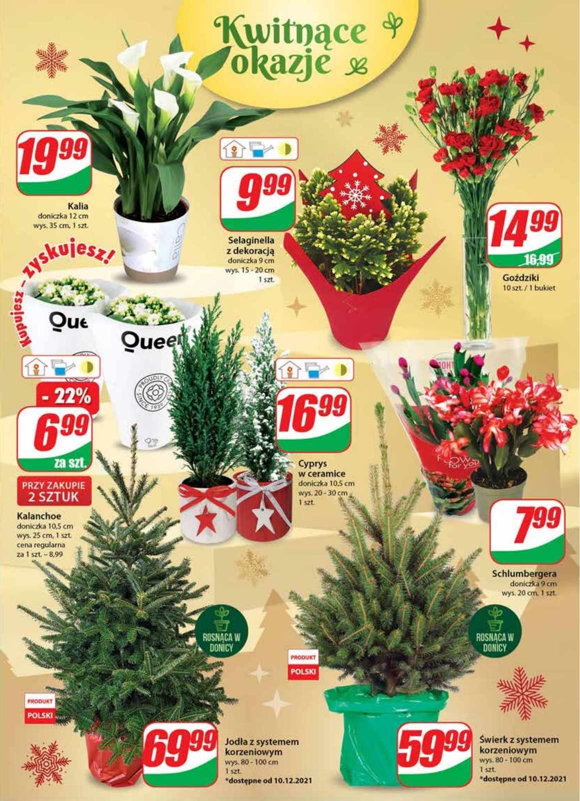 Gazetka promocyjna DINO str. 21