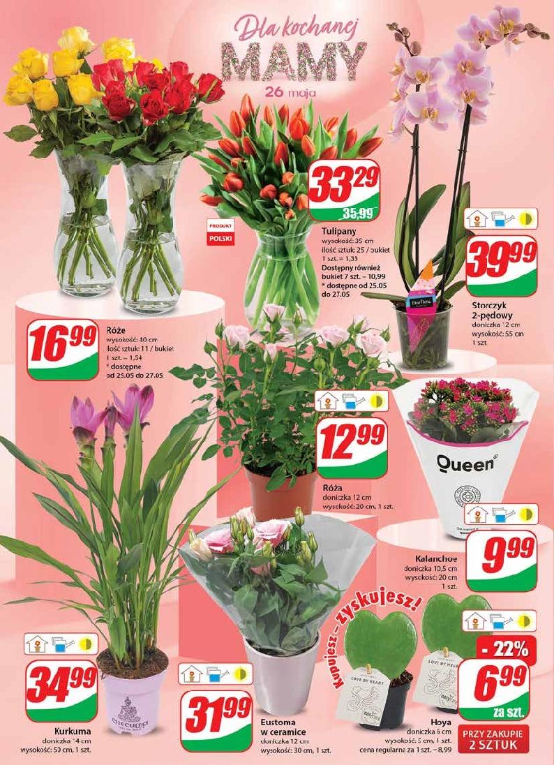 Gazetka promocyjna DINO str. 20