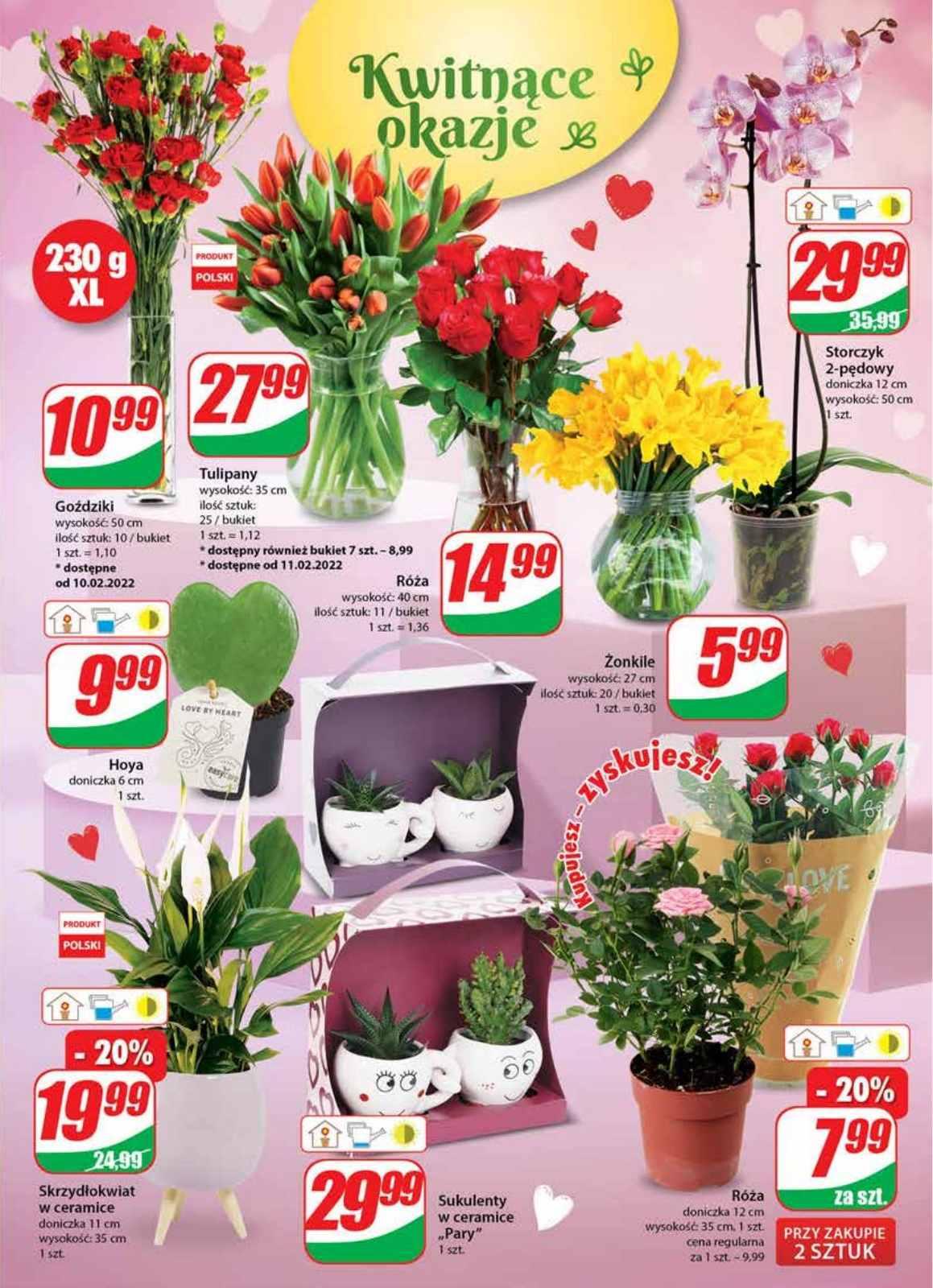 Gazetka promocyjna DINO str. 17