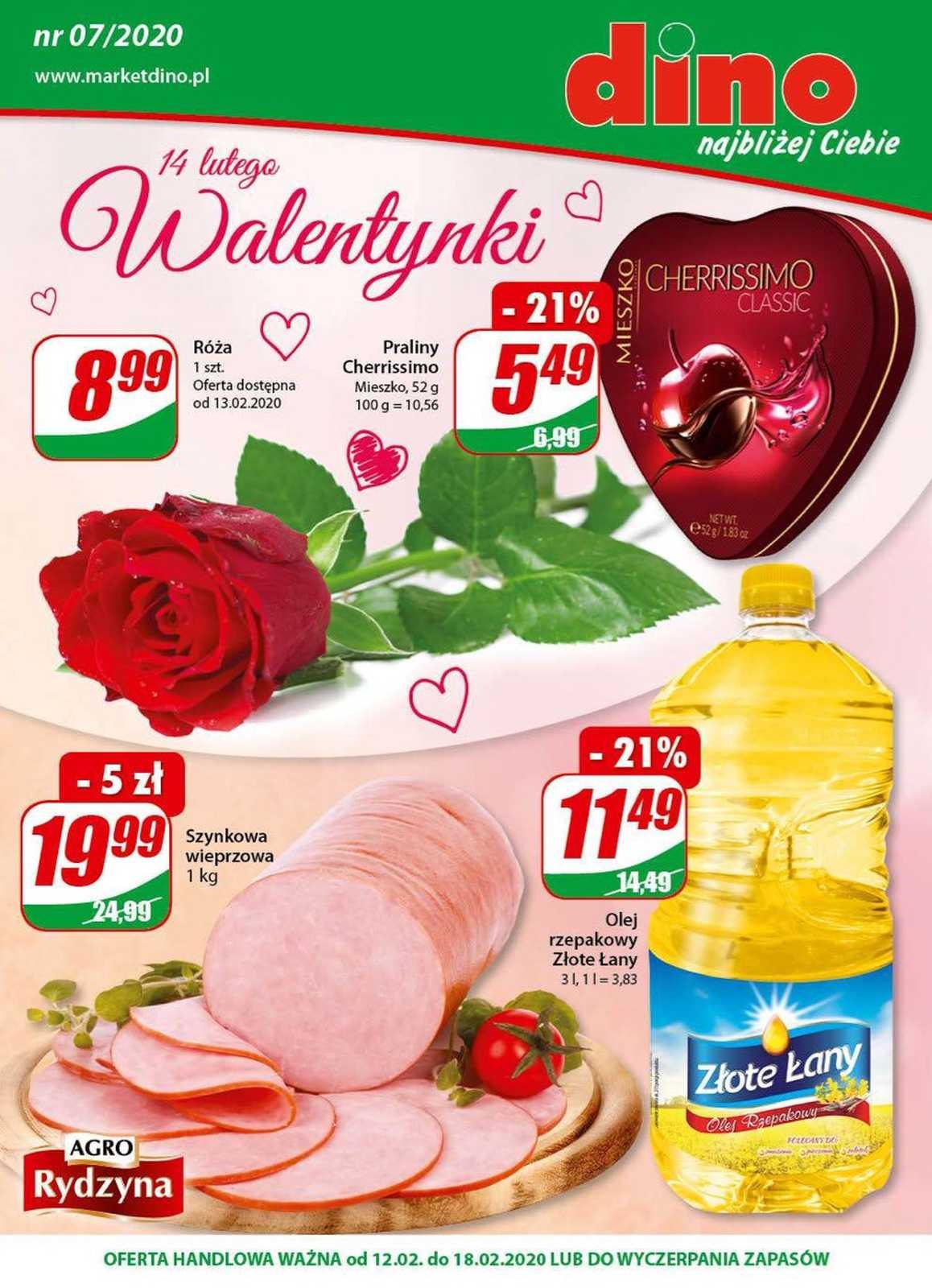 Gazetka promocyjna DINO str. 1