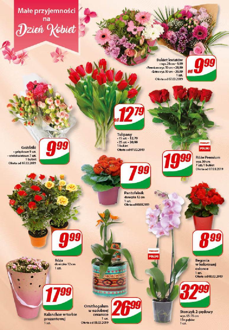 Gazetka promocyjna DINO str. 8