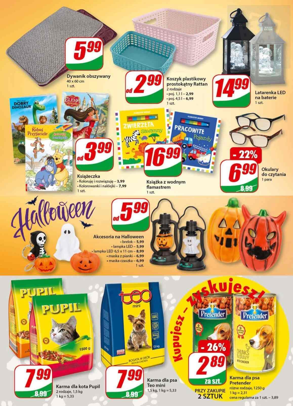 Gazetka promocyjna DINO str. 13