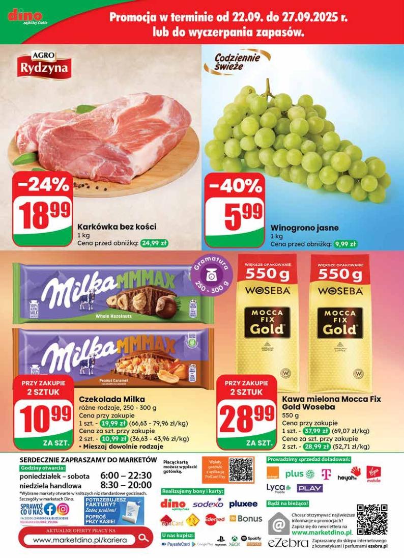 Gazetka promocyjna DINO str. 74