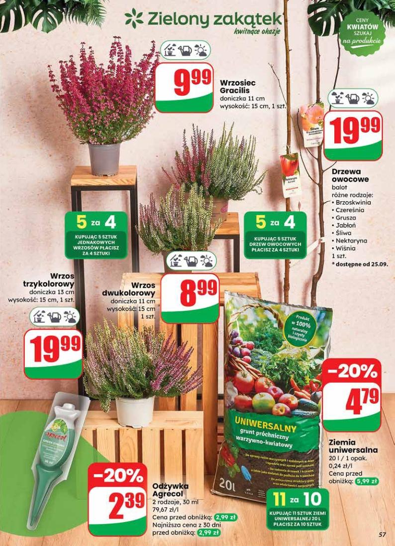 Gazetka promocyjna DINO str. 57