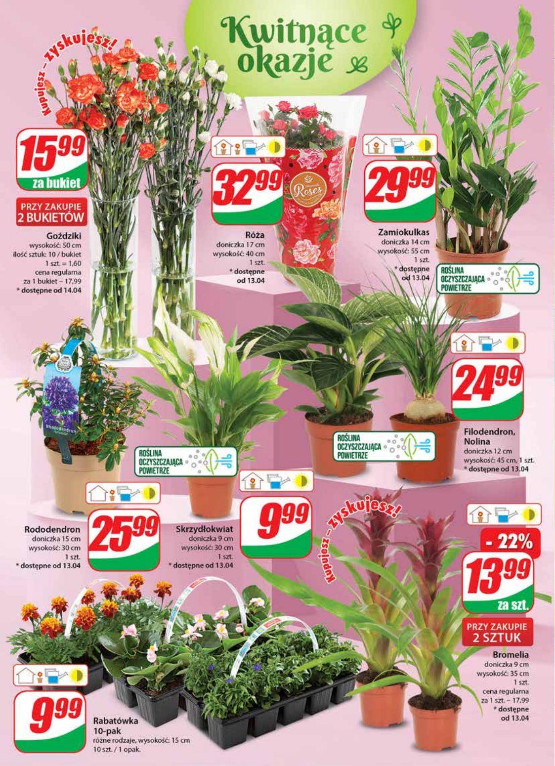 Gazetka promocyjna DINO str. 18