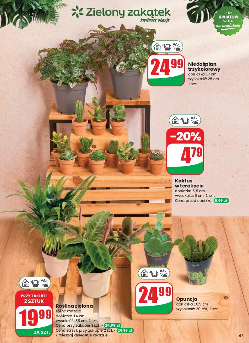 Gazetka promocyjna DINO str. 61