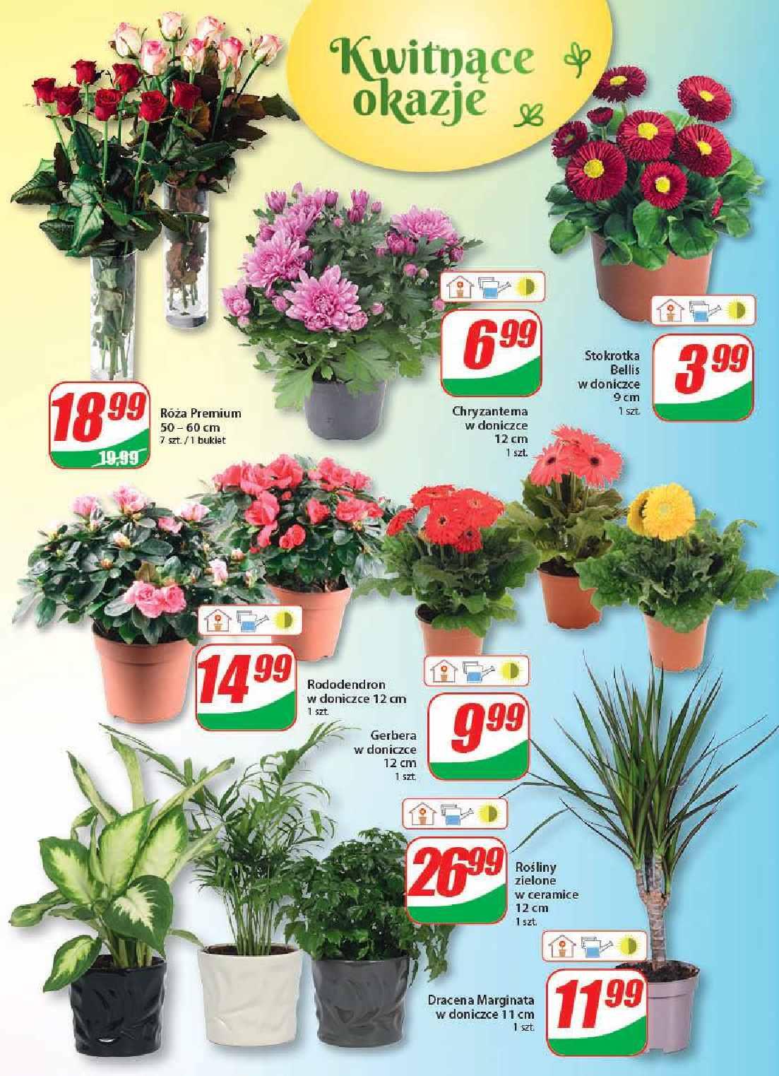 Gazetka promocyjna DINO str. 16