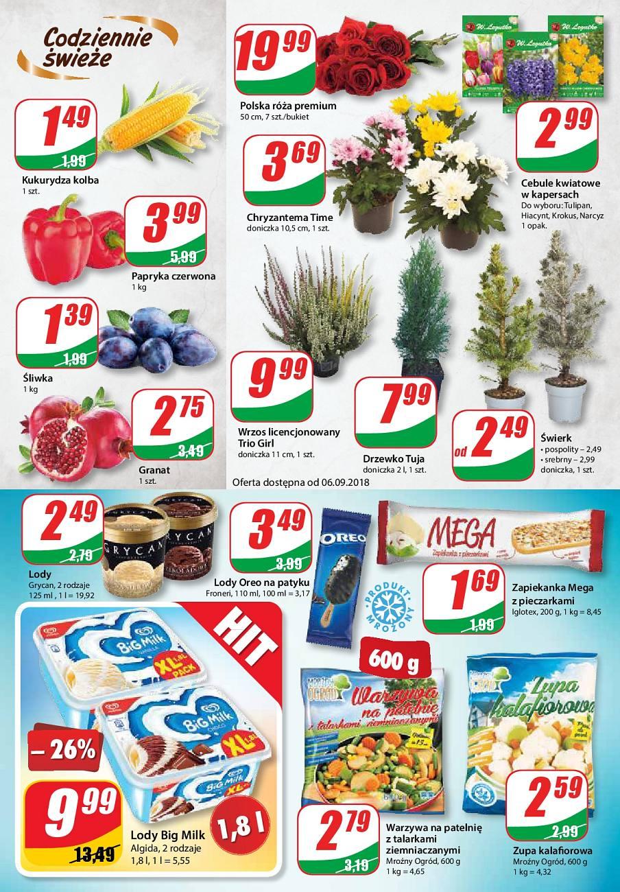 Gazetka promocyjna DINO str. 4