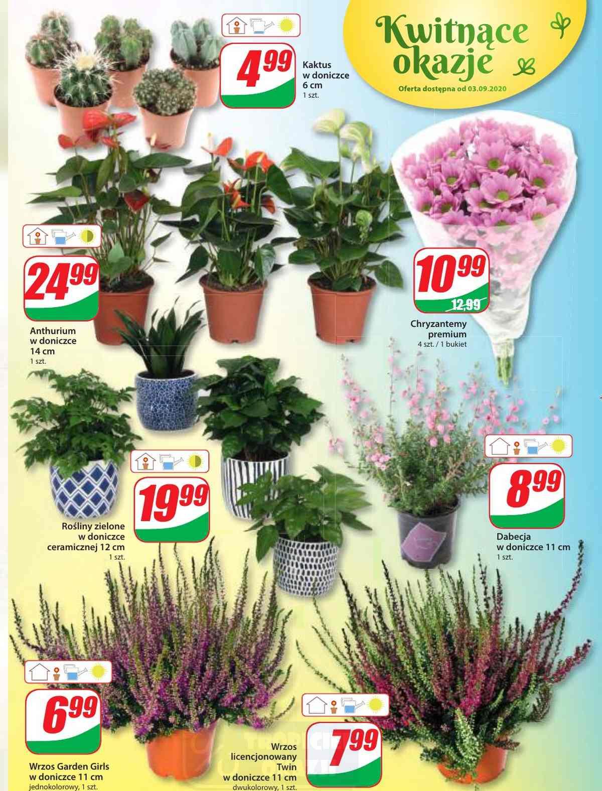 Gazetka promocyjna DINO str. 15