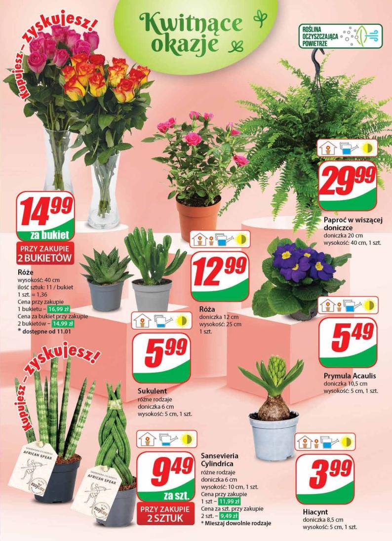 Gazetka promocyjna DINO str. 41