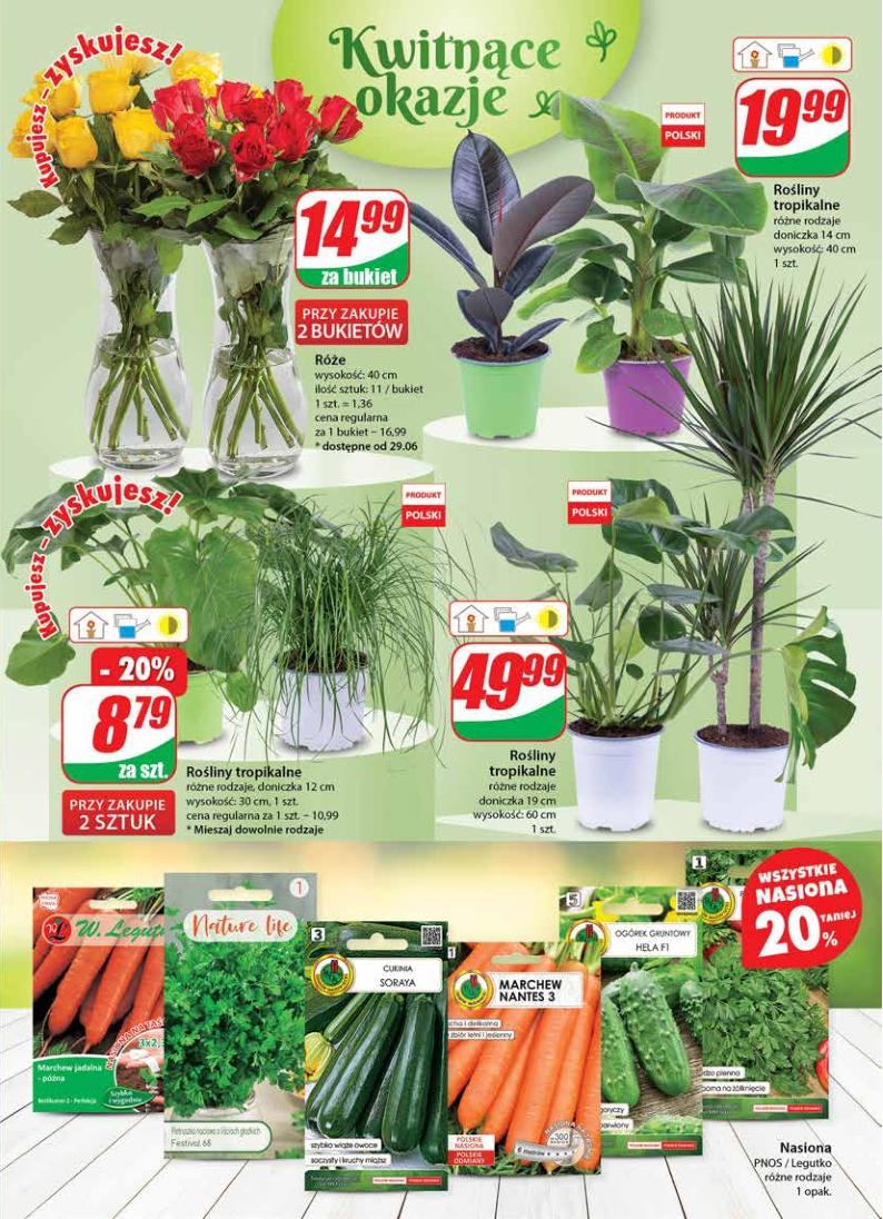 Gazetka promocyjna DINO str. 19