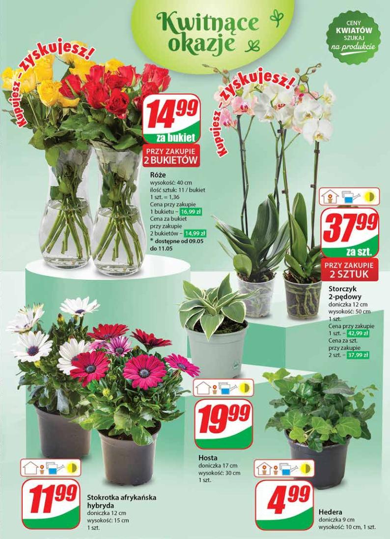 Gazetka promocyjna DINO str. 55