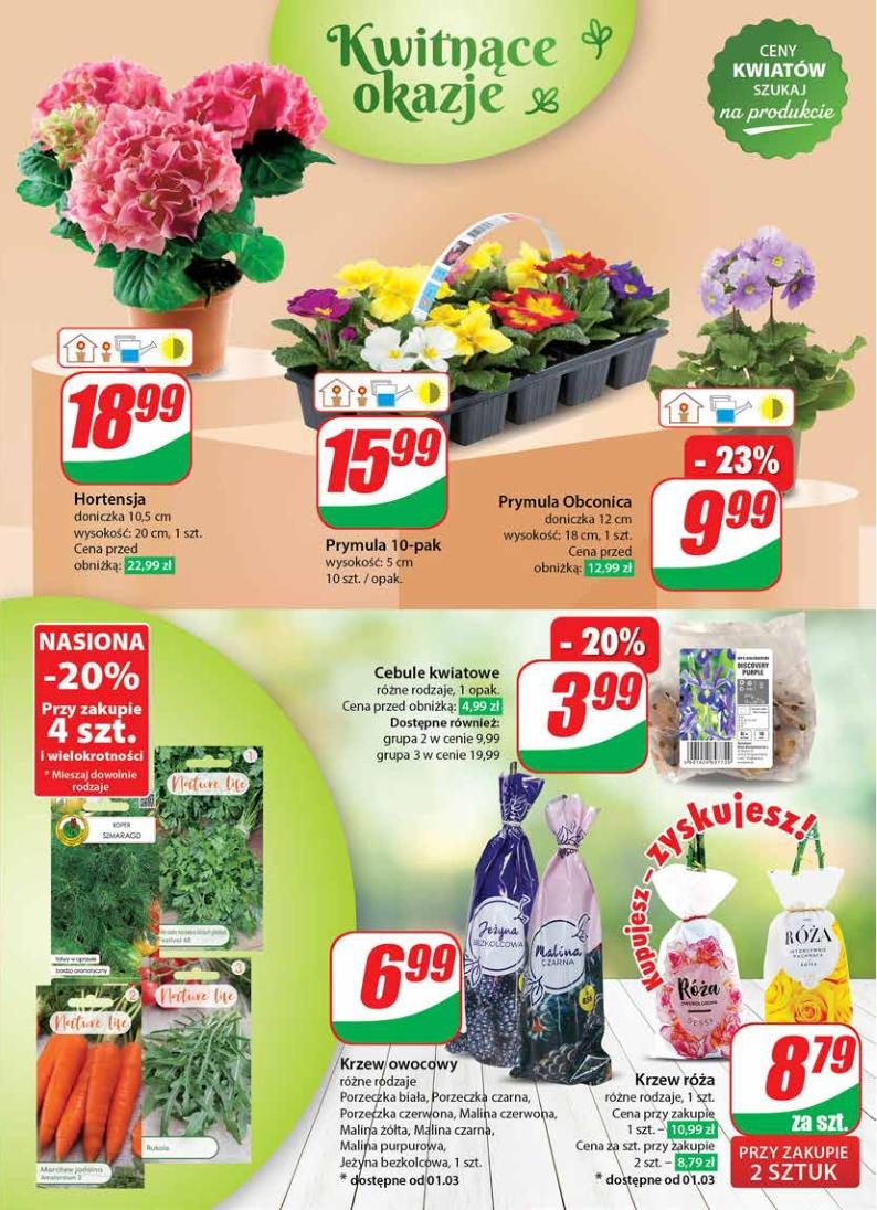 Gazetka promocyjna DINO str. 49