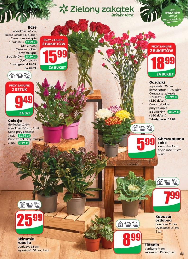 Gazetka promocyjna DINO str. 53