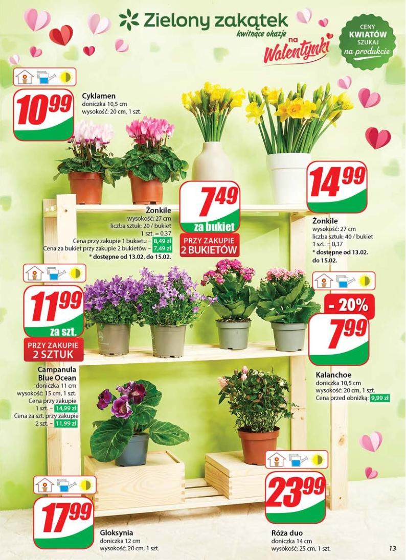 Gazetka promocyjna DINO str. 13