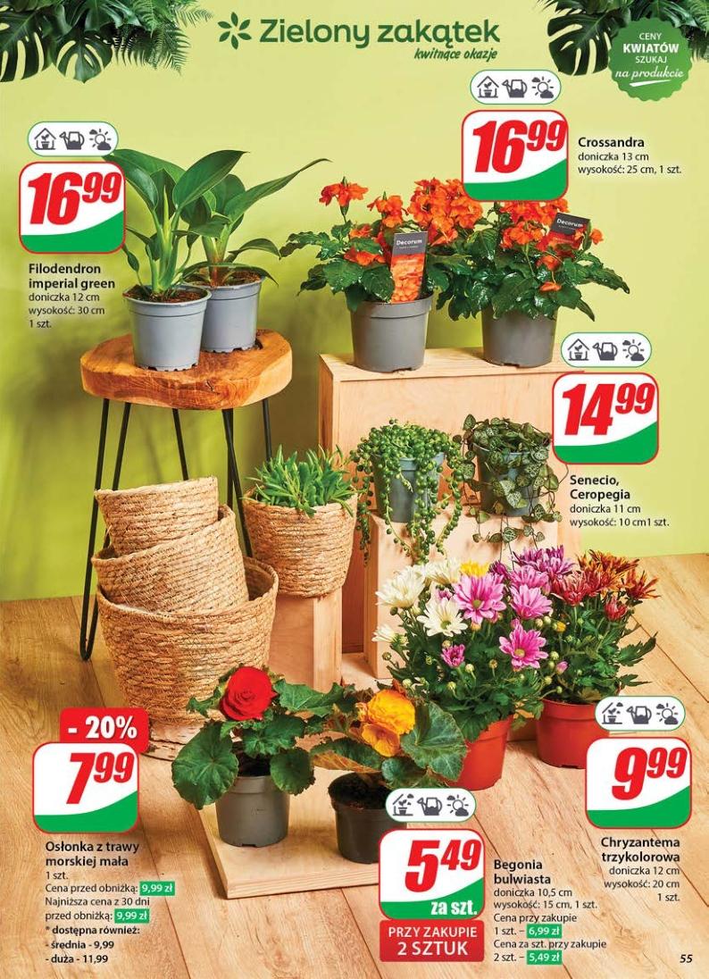 Gazetka promocyjna DINO str. 55