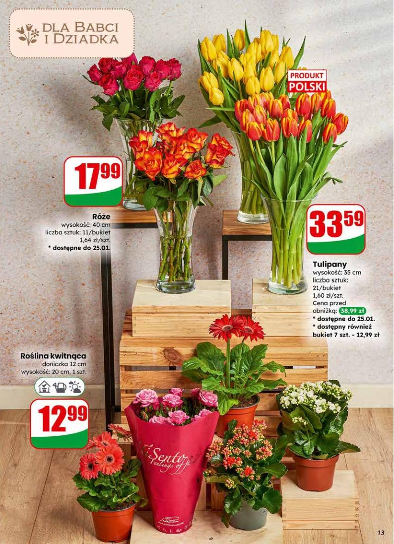 Gazetka promocyjna DINO str. 13