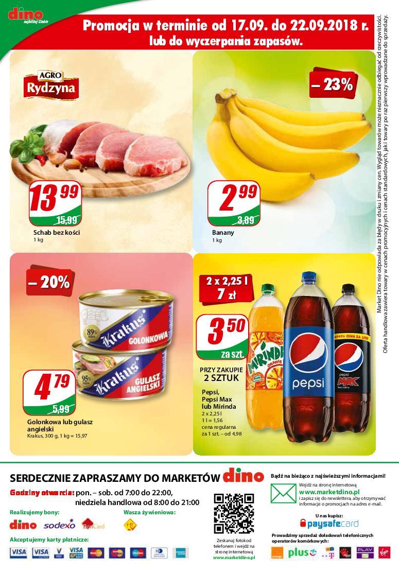 Gazetka promocyjna DINO str. 12