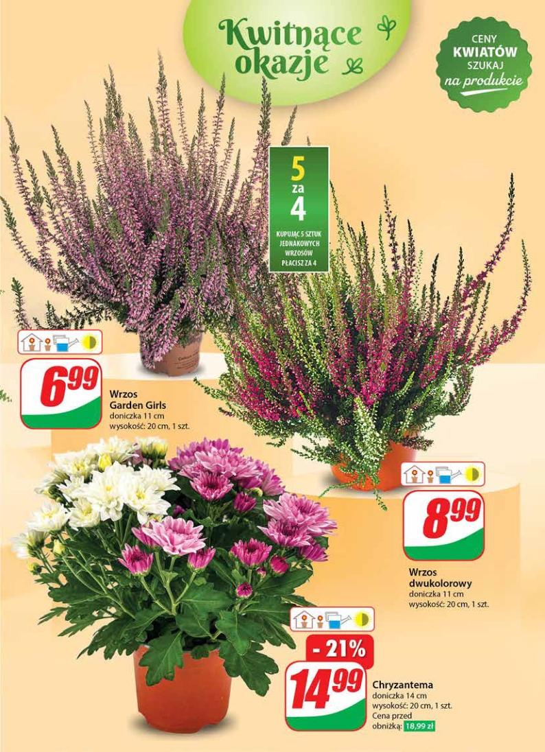 Gazetka promocyjna DINO str. 51