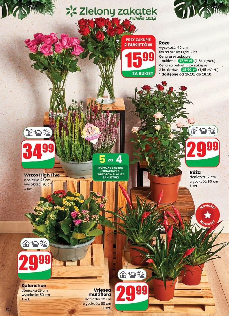 Gazetka promocyjna DINO str. 52