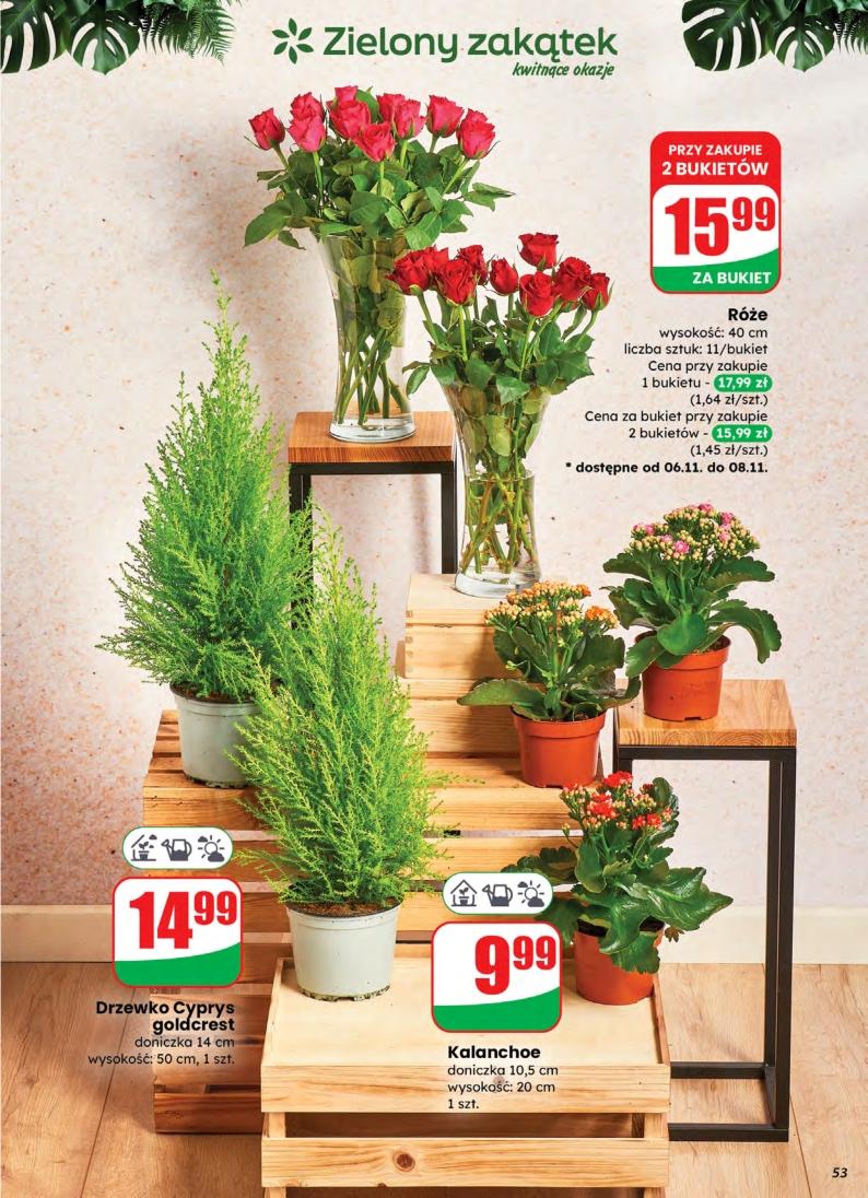 Gazetka promocyjna DINO str. 53