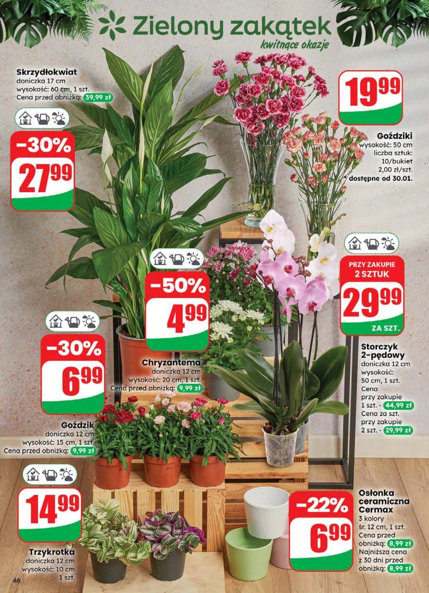 Gazetka promocyjna DINO str. 46