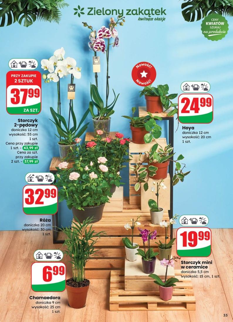 Gazetka promocyjna DINO str. 55