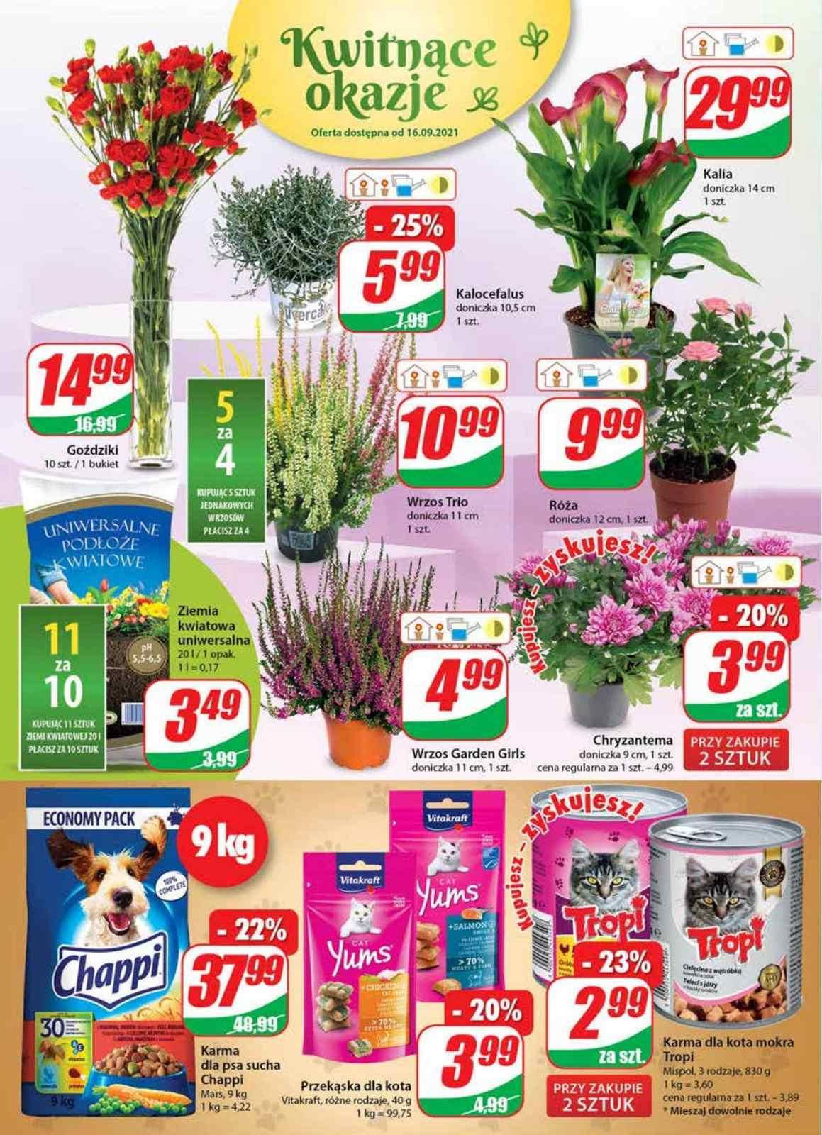 Gazetka promocyjna DINO str. 16