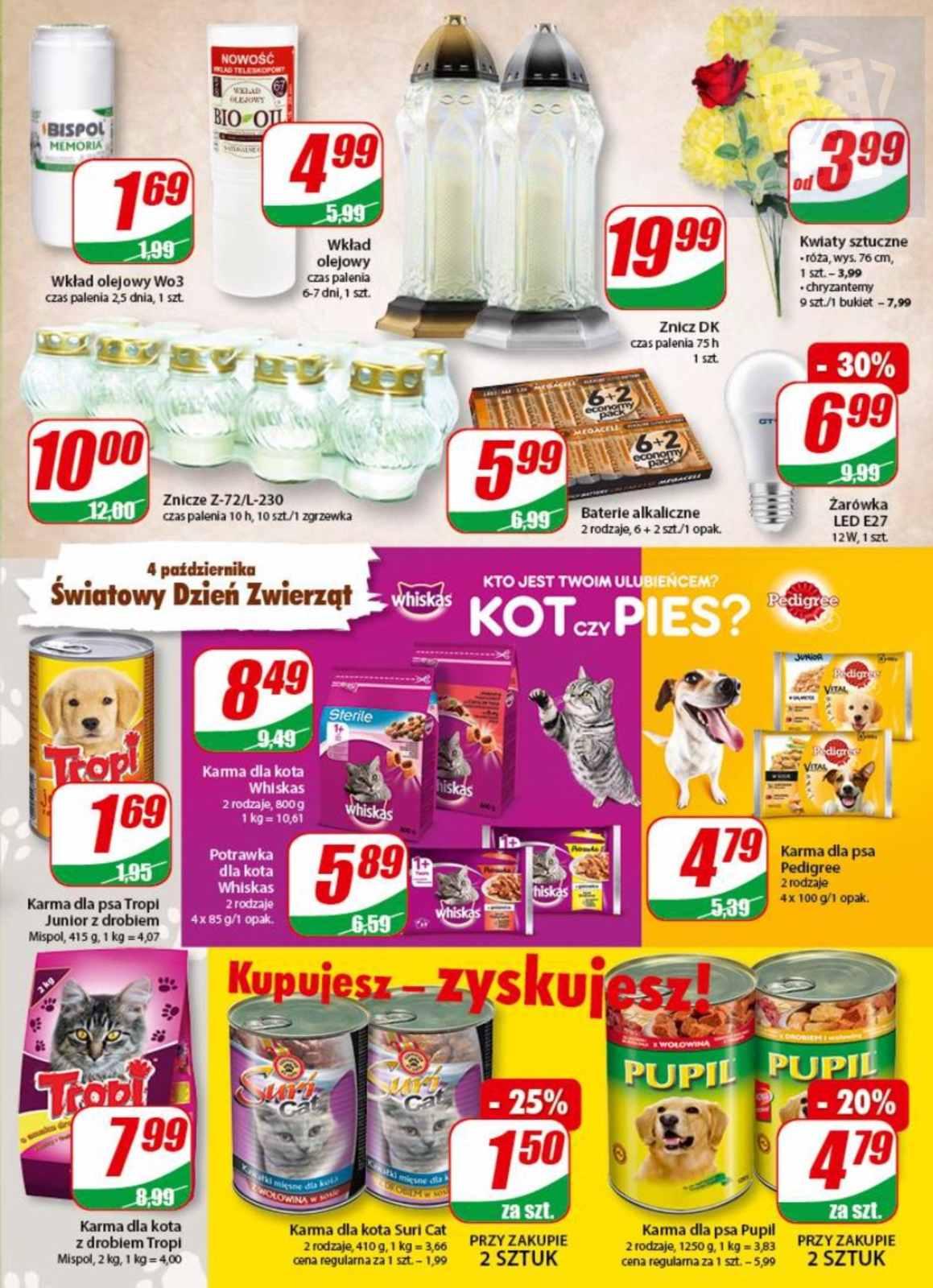 Gazetka promocyjna DINO str. 13