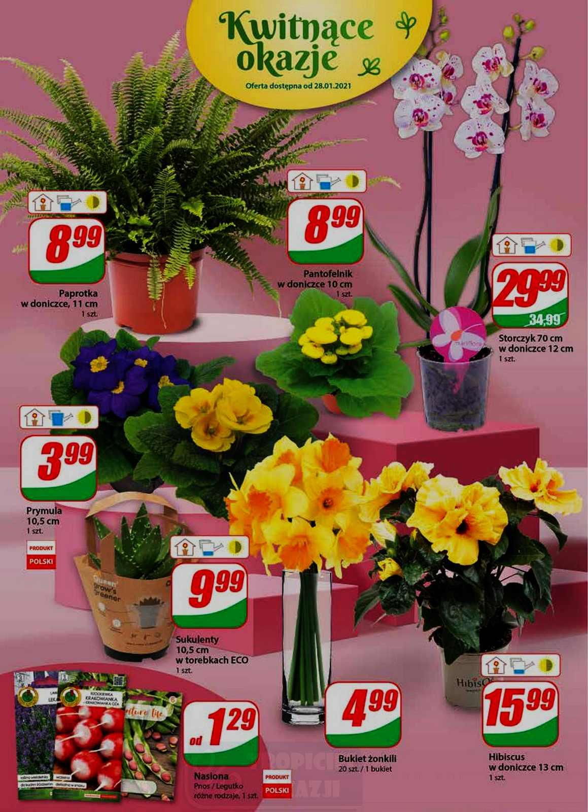 Gazetka promocyjna DINO str. 16