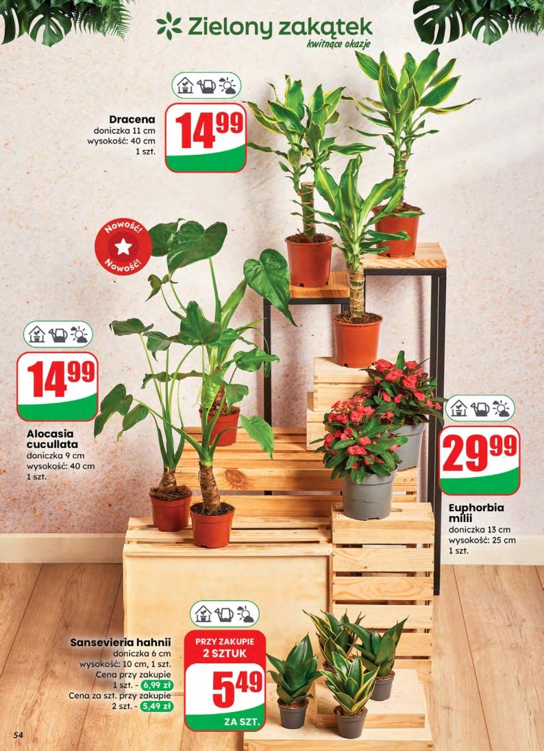 Gazetka promocyjna DINO str. 54