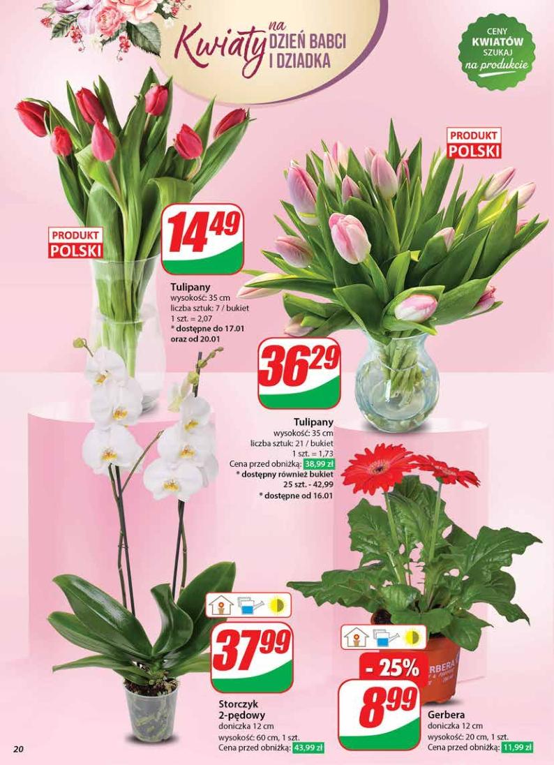 Gazetka promocyjna DINO str. 20