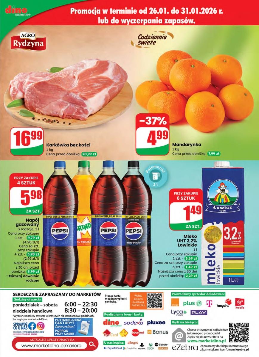 Gazetka promocyjna DINO str. 61