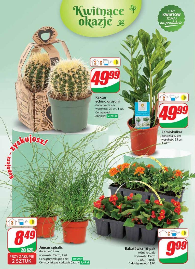 Gazetka promocyjna DINO str. 48