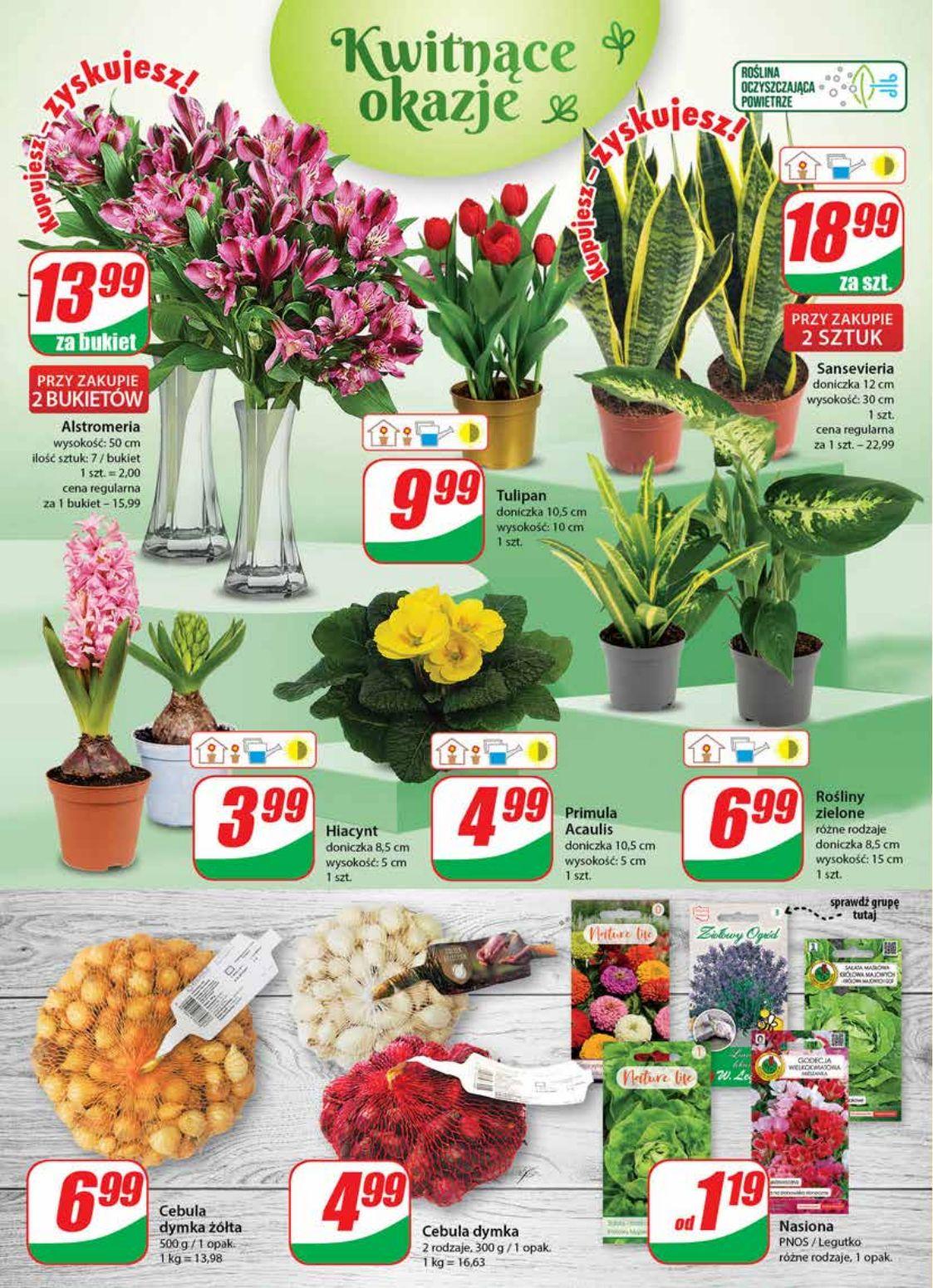 Gazetka promocyjna DINO str. 18