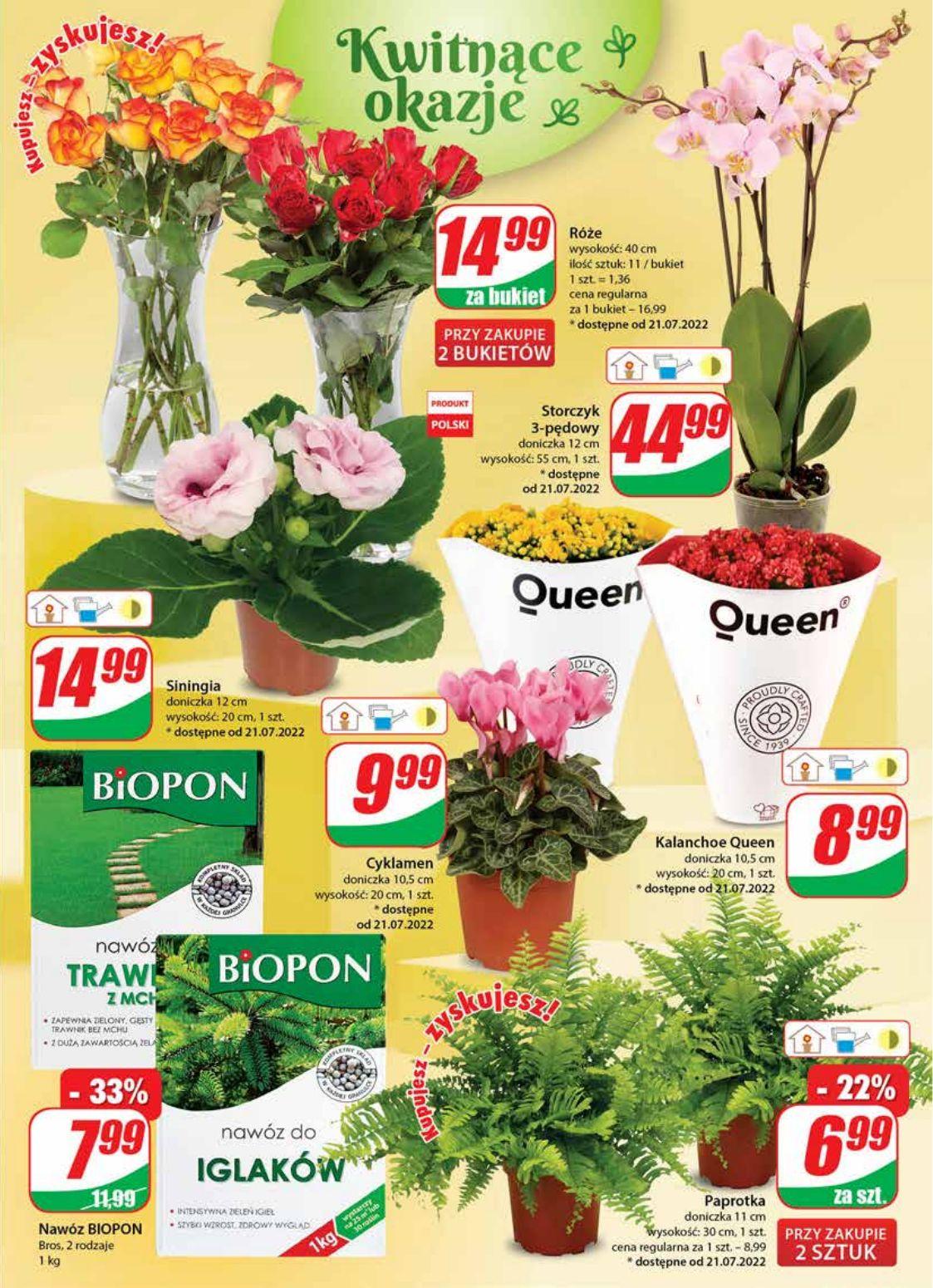 Gazetka promocyjna DINO str. 19