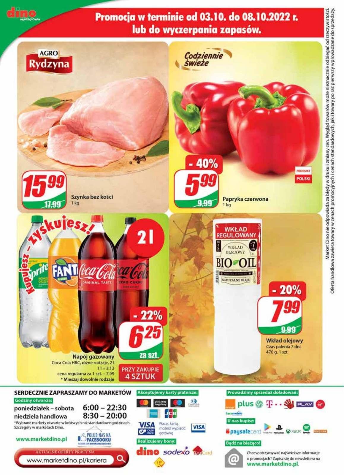 Gazetka promocyjna DINO str. 24